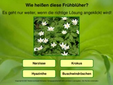 Frühlingsblüten-erkennen-2.pdf